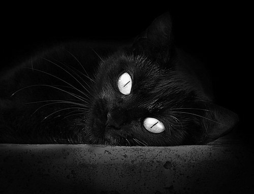 爱游戏娱乐-冰与火的交响，逆转的奇迹与统治的艺术