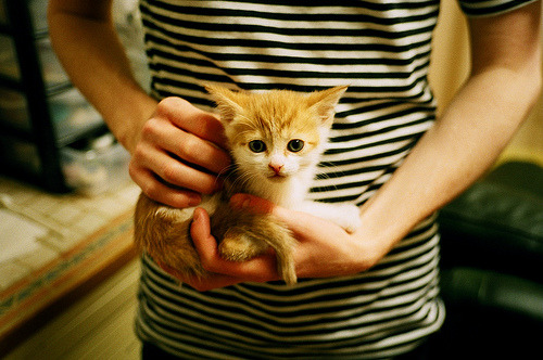 当深圳风暴席卷鹈鹕滩，勒布朗·詹姆斯如何点燃跨界篮球之火