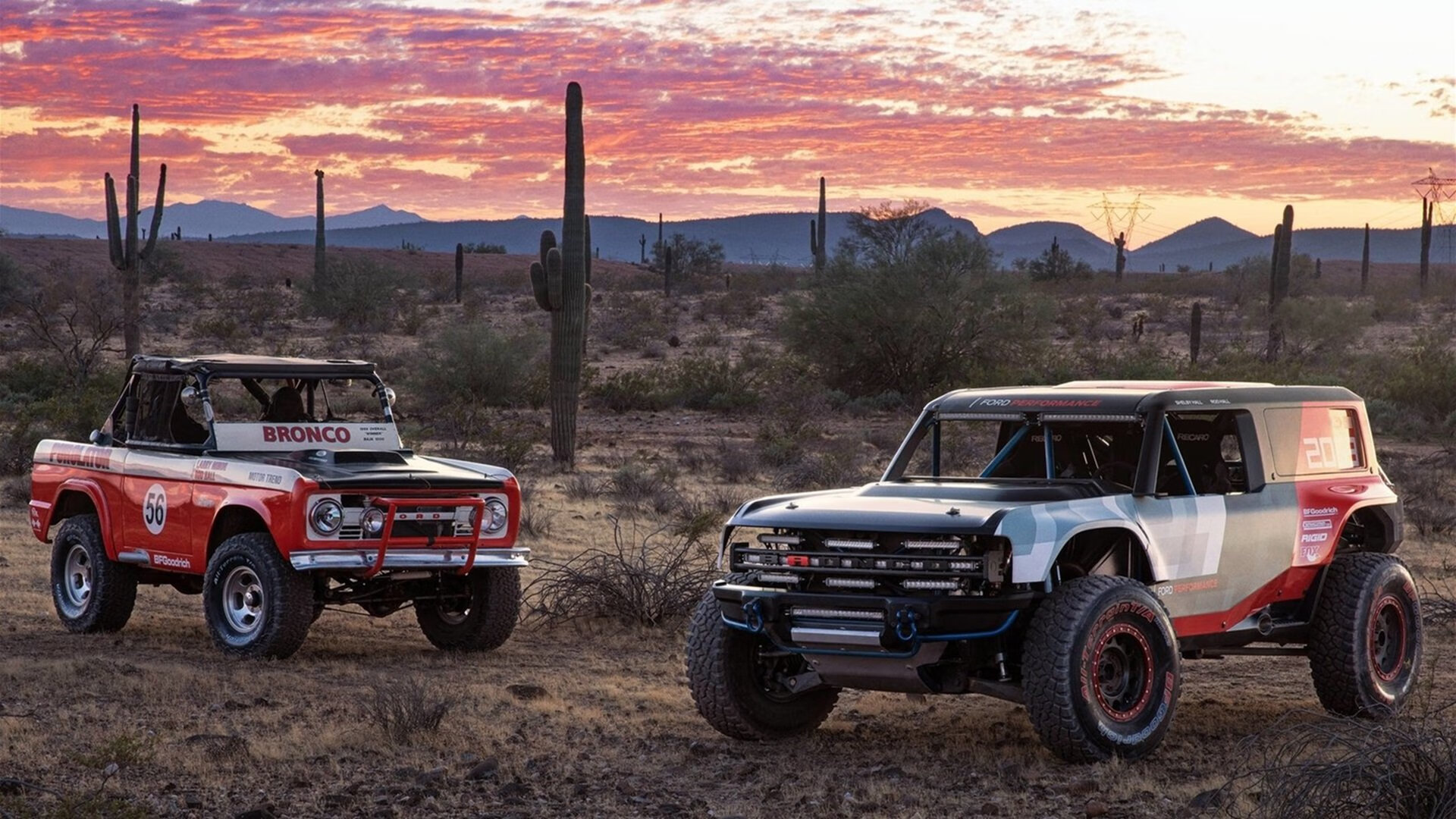 鹰王振翅撕裂群狼防线—当獭兔成为猎手的夜晚