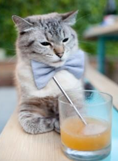 绝杀英雄卡拉斯科,饮冰十年血,终淬希腊神话