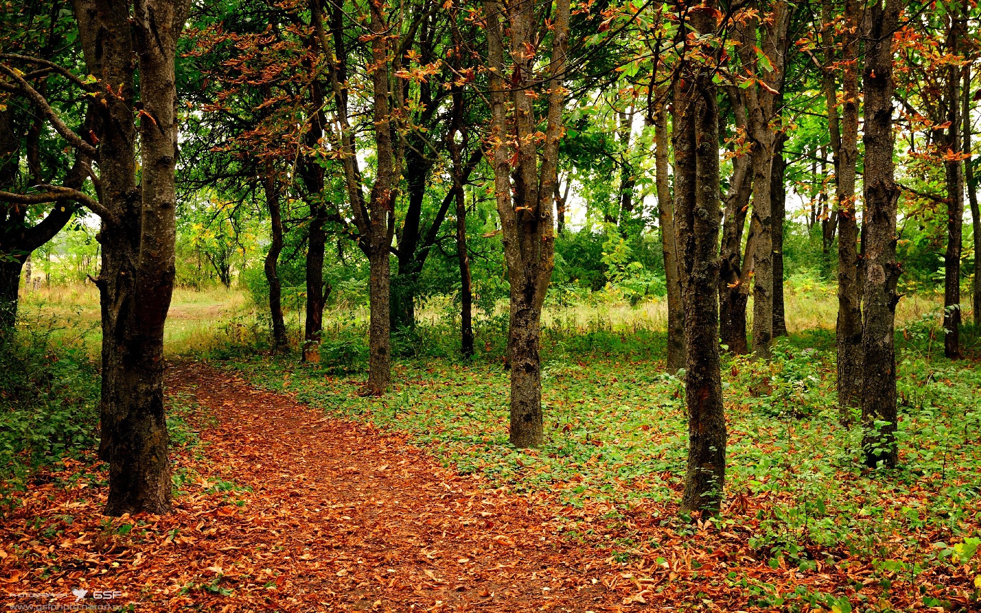 一节定乾坤，欧冠的窒息15分钟与沙特的神奇10分钟