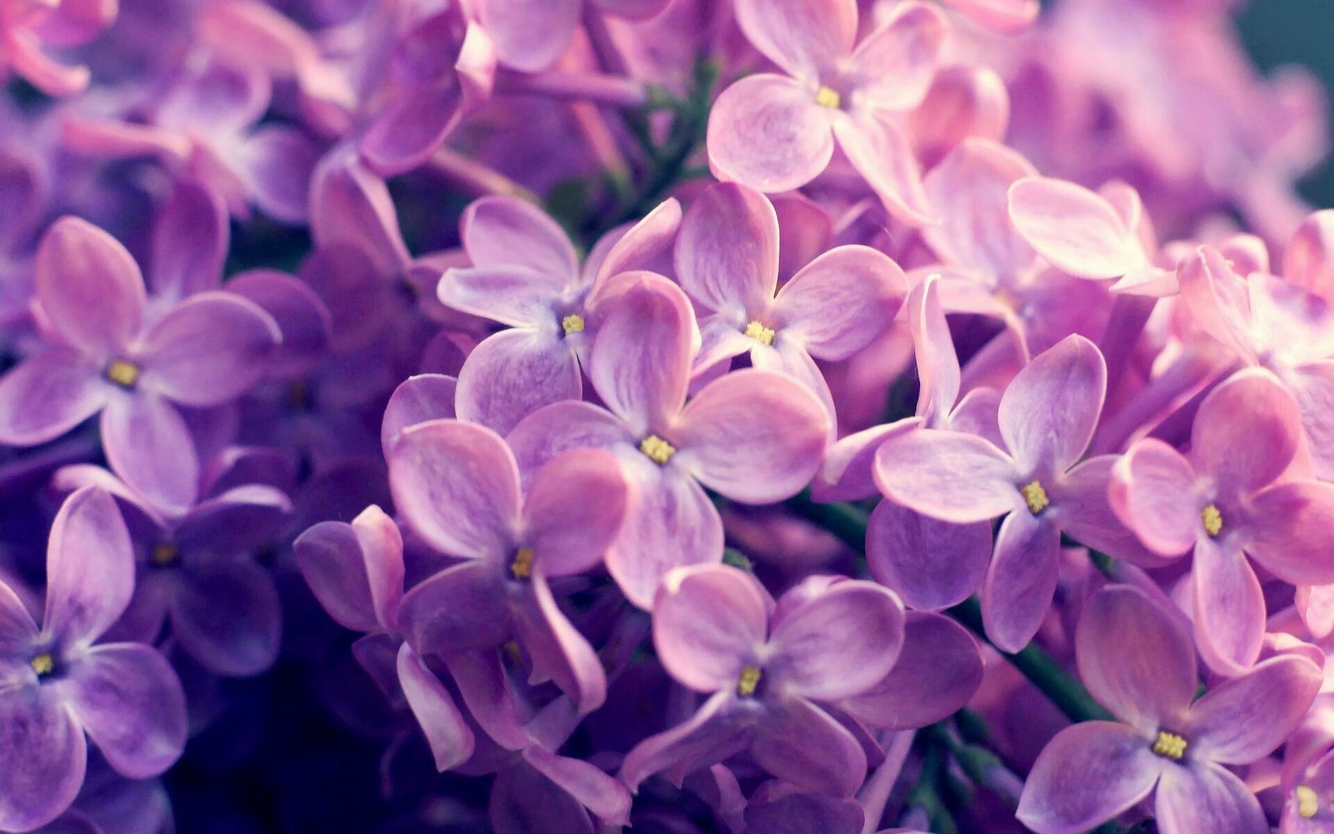 爱游戏入口-足球的智慧与篮球的暴力美学，欧冠半决赛的战术博弈与掘金碾压雄鹿的启示