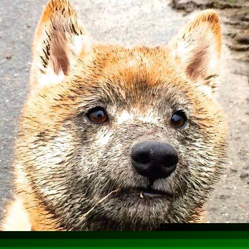 赛后评分拉满,是今晚的数据,更是二十一年的标尺