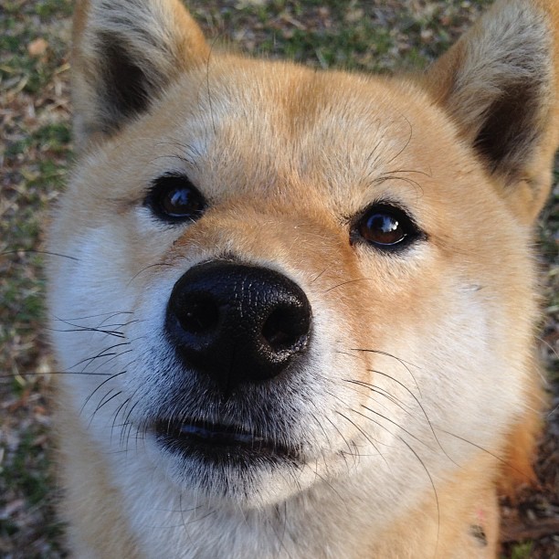 钢铁防线与璀璨锋芒，凯恩的锁链与葡萄牙的火焰