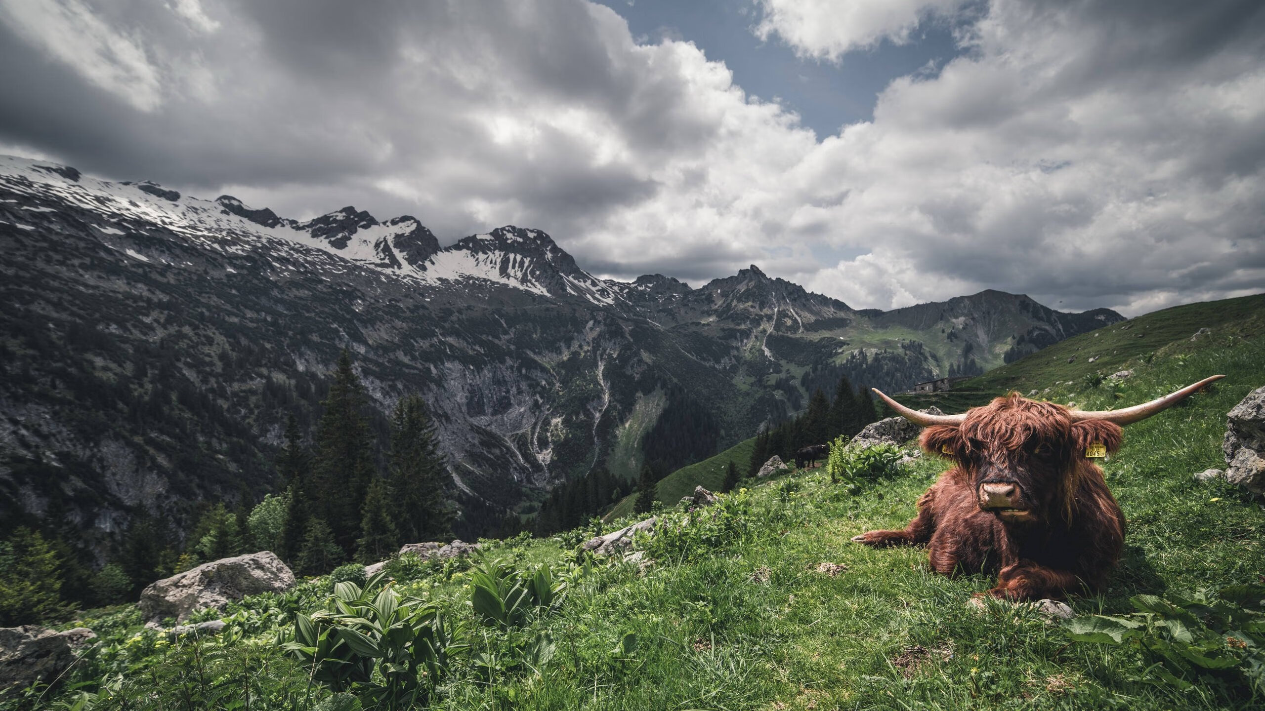 米切尔扛鼎之战！上海队爆冷击败NBA劲旅热火，改写中美篮球交锋史