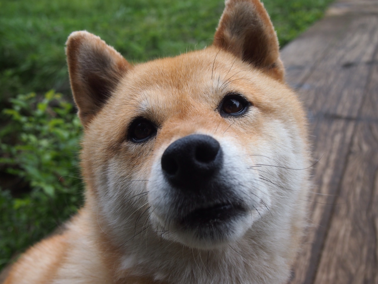 虚实之间，灵光一现，李刚仁的魔法如何让比利亚雷亚尔轻取乌克兰劲旅