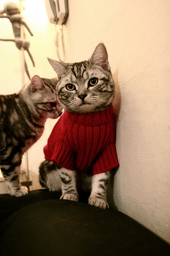 双线战场，一场胜利与一脚射门，如何雕刻足球的决定性时刻