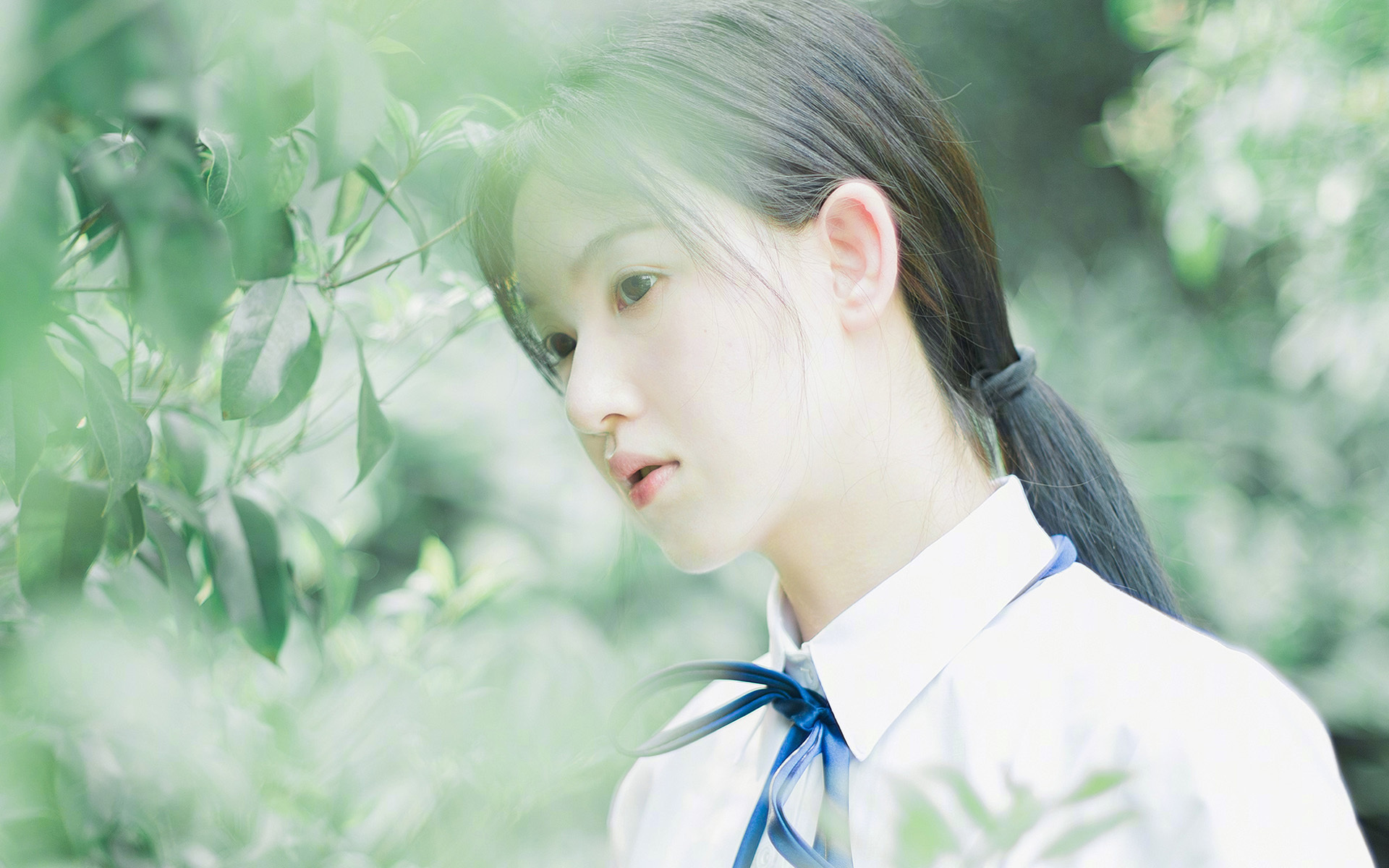 伊斯坦布尔的救赎，一场灵魂的血拼