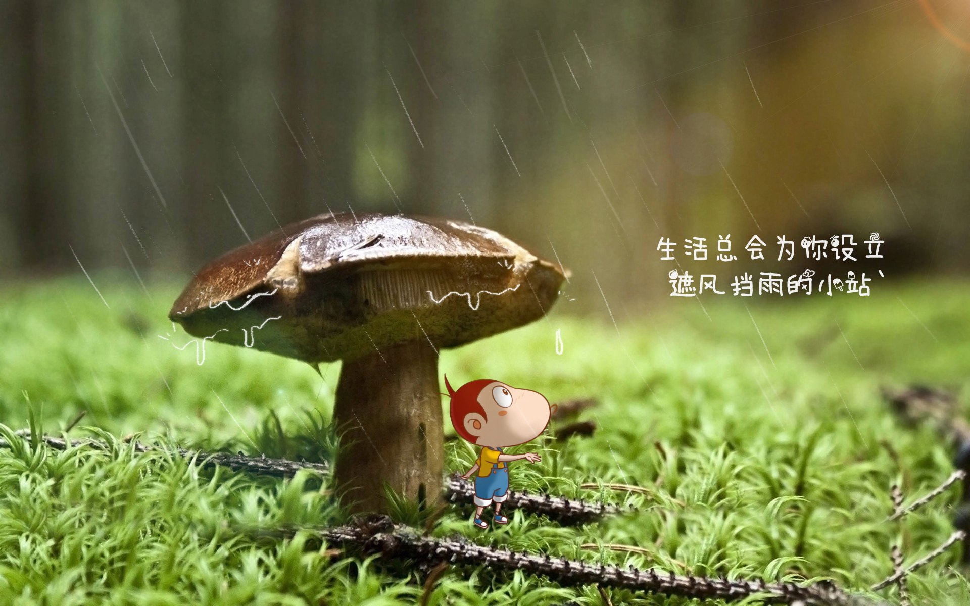 爱游戏体育-蓝月之心的橙色风暴，德布劳内如何用中场统治力，在2026世界杯黑马之战中让德国击碎英格兰的童话