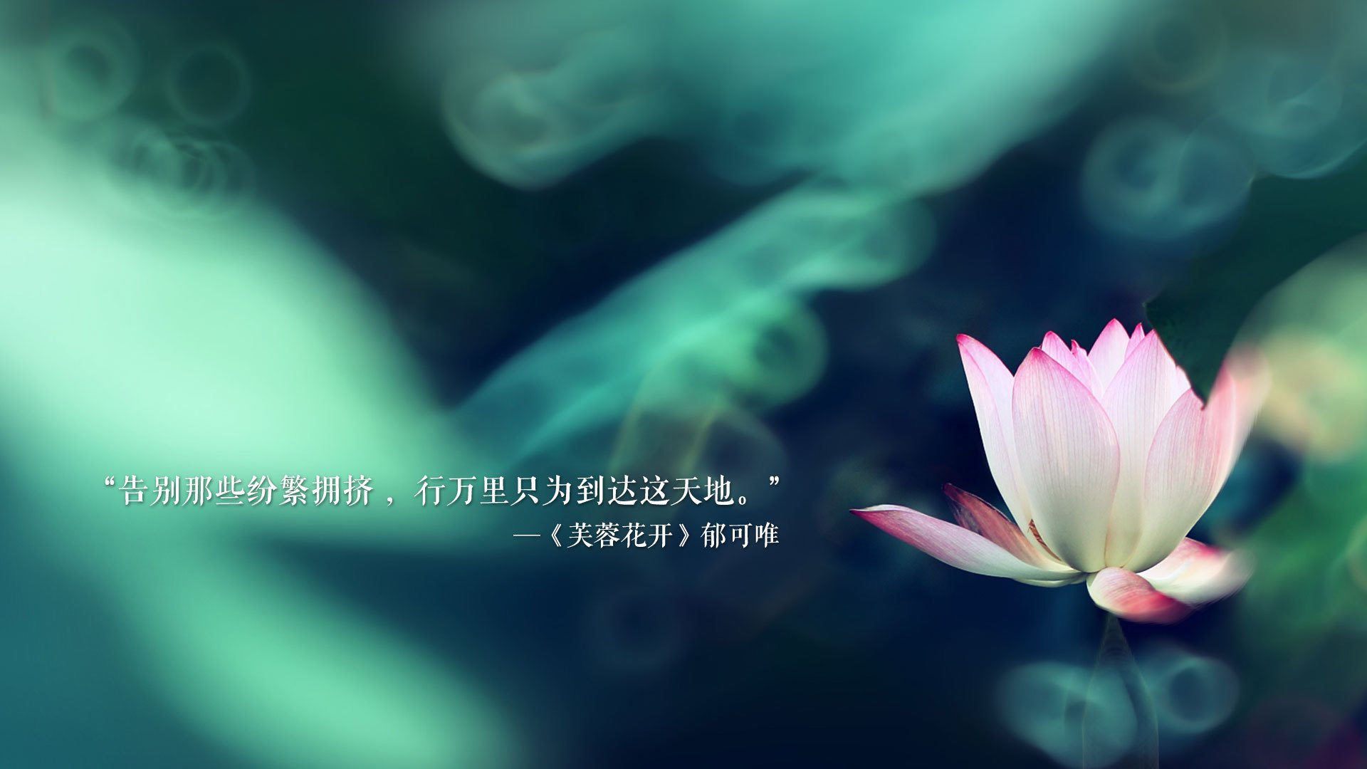爱游戏官方-当黑马策马狂奔，2026世界杯E组，泰国横扫加纳背后的全场压制密码