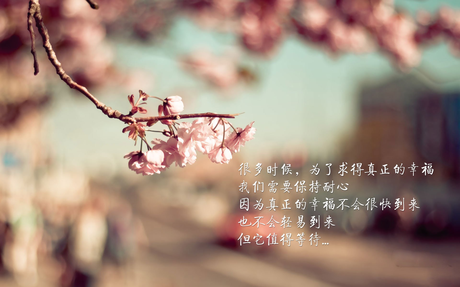蓝衣军团的救赎之夜,迪亚斯一剑封喉,意大利在2026生死战中碾碎乌拉圭